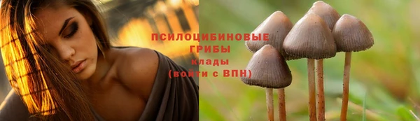 не бодяженный Богородск