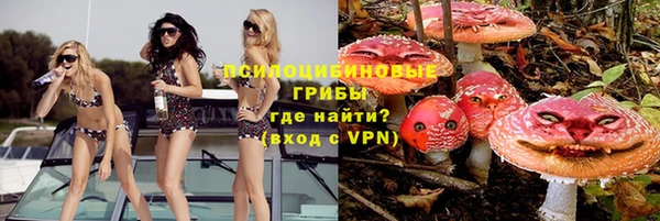 экстази Богородицк